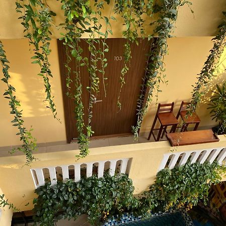 The View Homestay 会安 外观 照片
