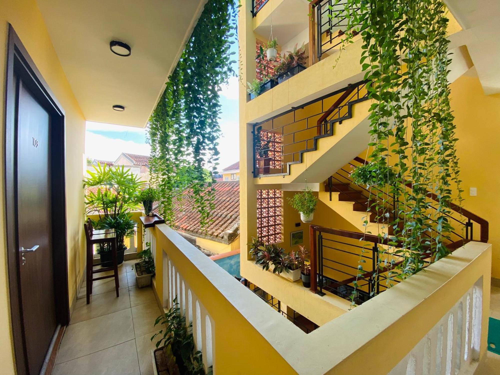 The View Homestay 会安 外观 照片